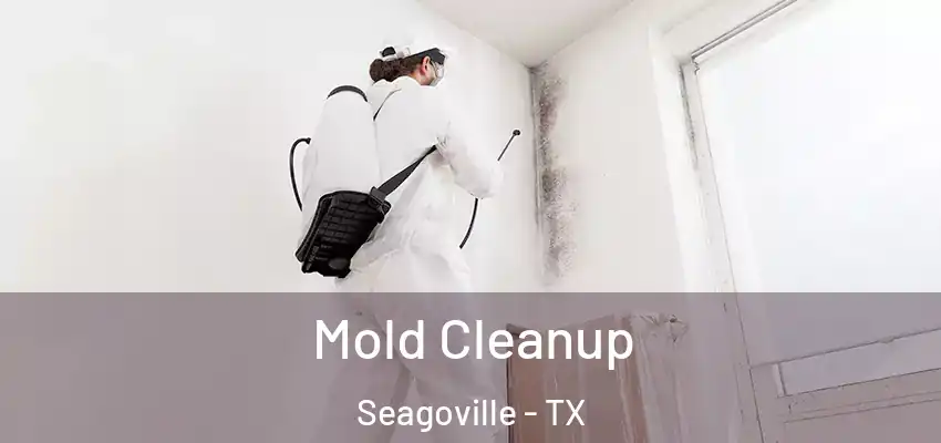 Mold Cleanup Seagoville - TX