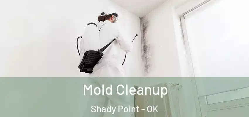  Mold Cleanup Shady Point - OK