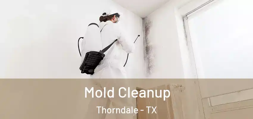 Mold Cleanup Thorndale - TX