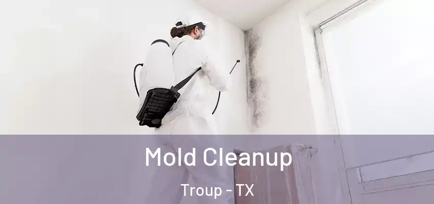  Mold Cleanup Troup - TX