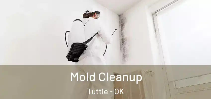  Mold Cleanup Tuttle - OK