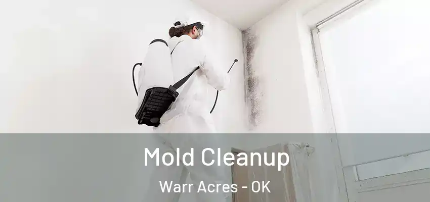  Mold Cleanup Warr Acres - OK