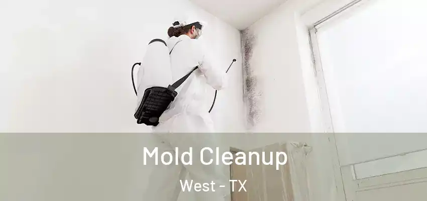  Mold Cleanup West - TX