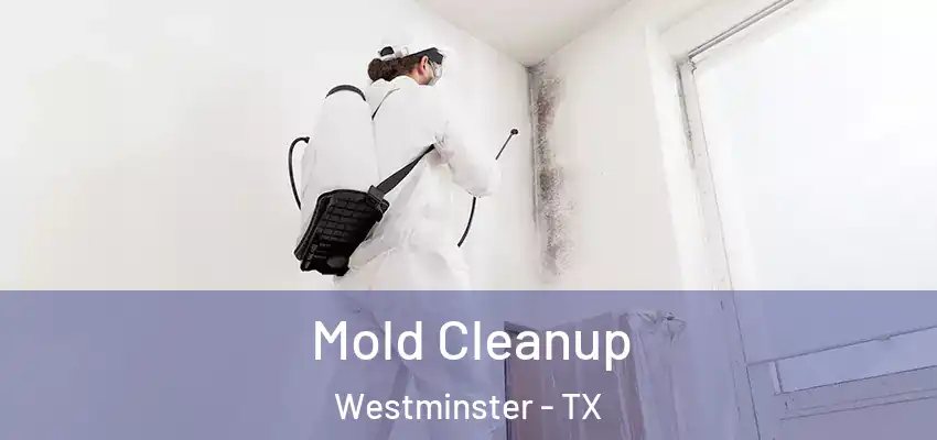 Mold Cleanup Westminster - TX