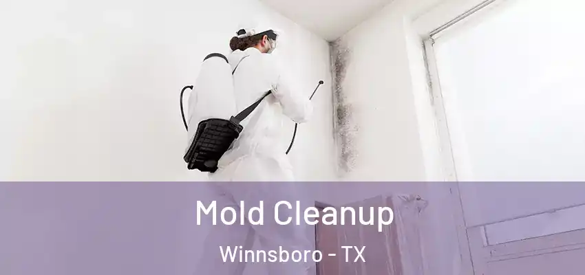 Mold Cleanup Winnsboro - TX