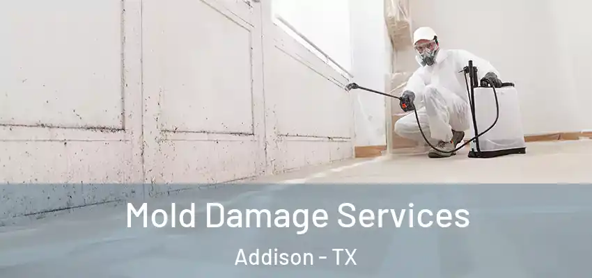 Mold Damage Services Addison - TX