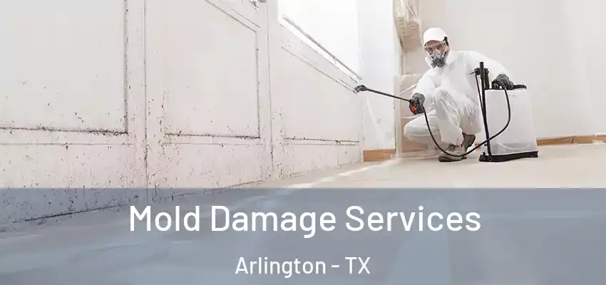 Mold Damage Services Arlington - TX