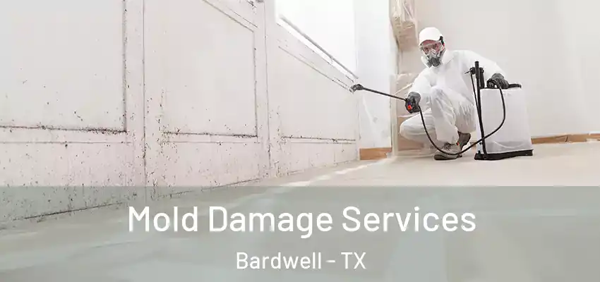 Mold Damage Services Bardwell - TX