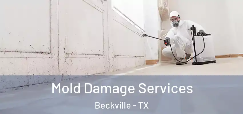  Mold Damage Services Beckville - TX