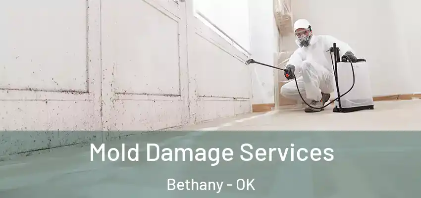  Mold Damage Services Bethany - OK