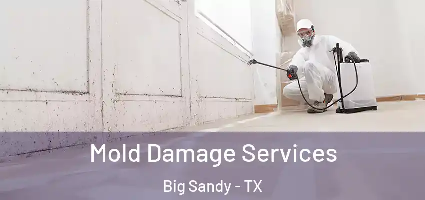  Mold Damage Services Big Sandy - TX