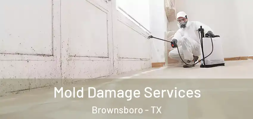  Mold Damage Services Brownsboro - TX