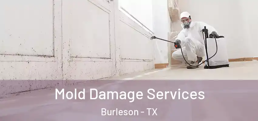 Mold Damage Services Burleson - TX