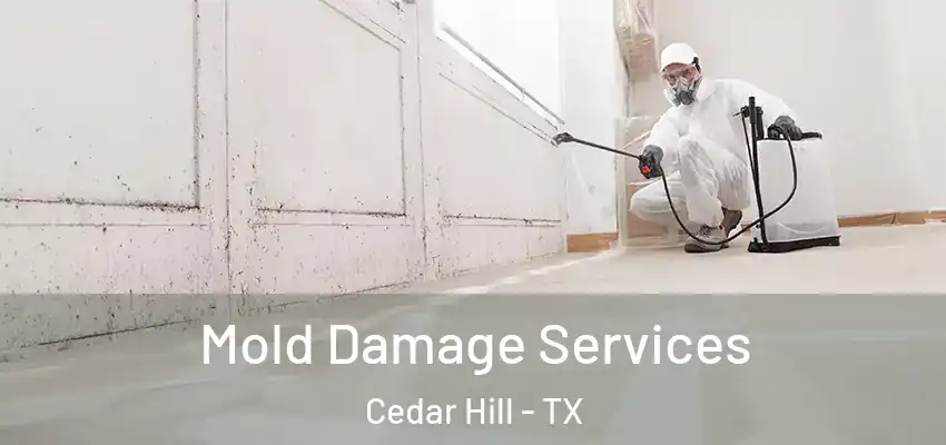 Mold Damage Services Cedar Hill - TX