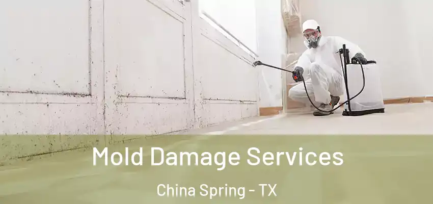  Mold Damage Services China Spring - TX