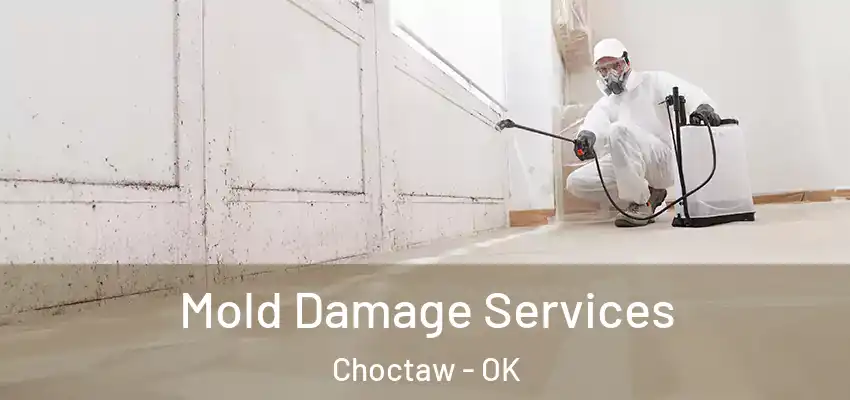 Mold Damage Services Choctaw - OK