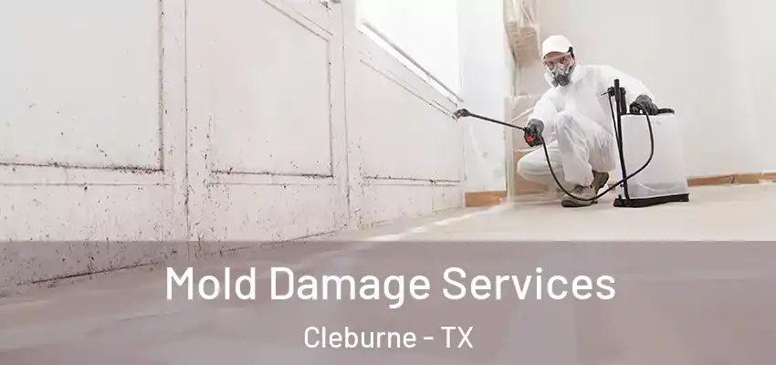 Mold Damage Services Cleburne - TX