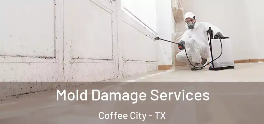  Mold Damage Services Coffee City - TX