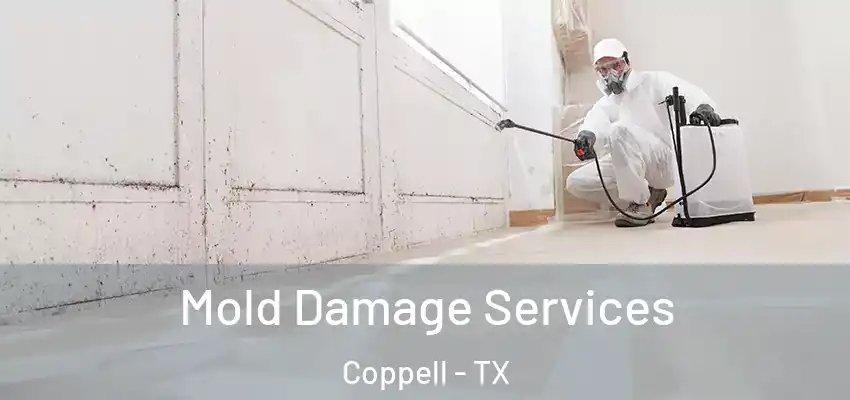 Mold Damage Services Coppell - TX