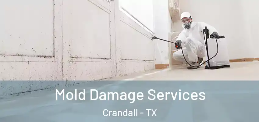 Mold Damage Services Crandall - TX