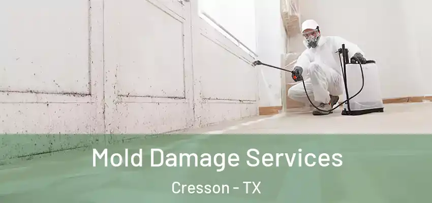 Mold Damage Services Cresson - TX