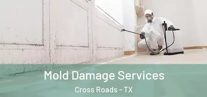  Mold Damage Services Cross Roads - TX