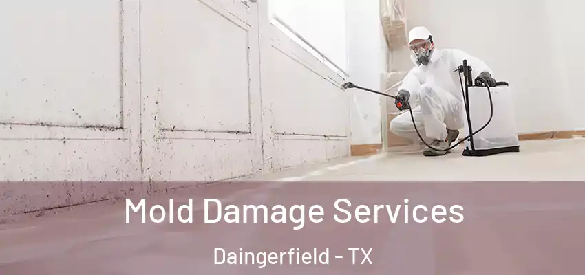 Mold Damage Services Daingerfield - TX