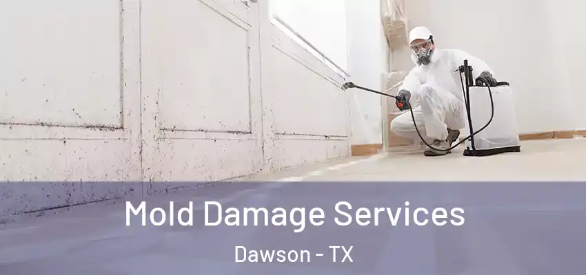  Mold Damage Services Dawson - TX