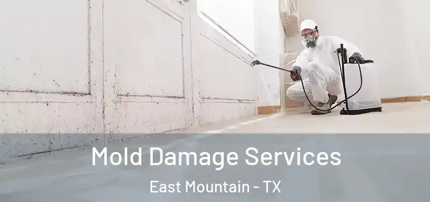 Mold Damage Services East Mountain - TX