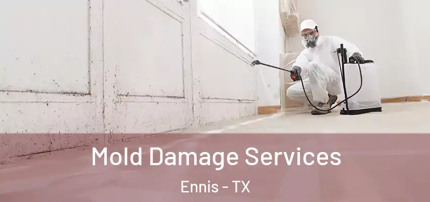  Mold Damage Services Ennis - TX