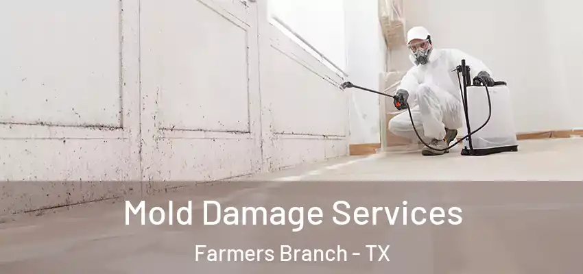 Mold Damage Services Farmers Branch - TX