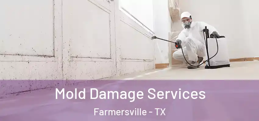  Mold Damage Services Farmersville - TX