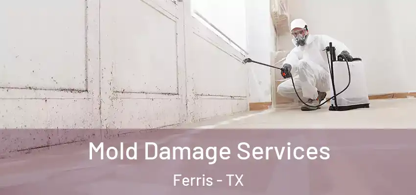  Mold Damage Services Ferris - TX
