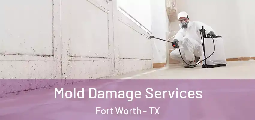 Mold Damage Services Fort Worth - TX