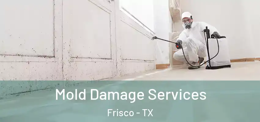  Mold Damage Services Frisco - TX
