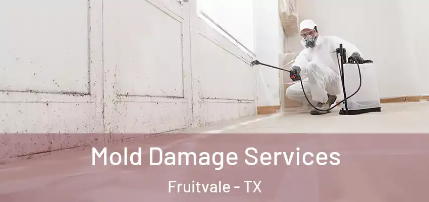  Mold Damage Services Fruitvale - TX