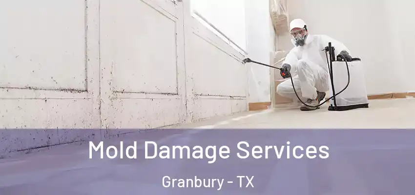  Mold Damage Services Granbury - TX