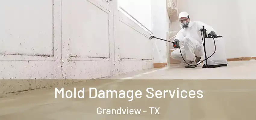  Mold Damage Services Grandview - TX