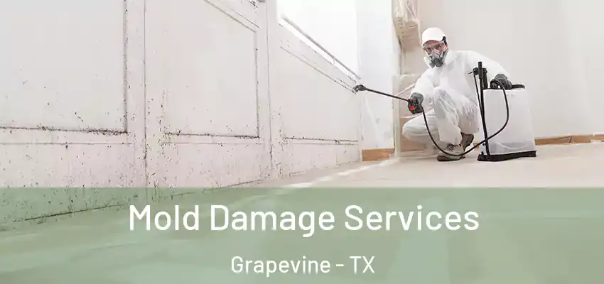 Mold Damage Services Grapevine - TX