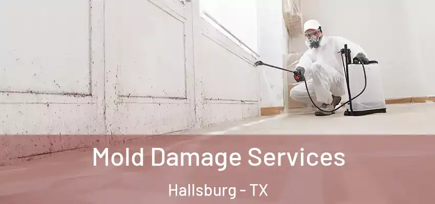 Mold Damage Services Hallsburg - TX