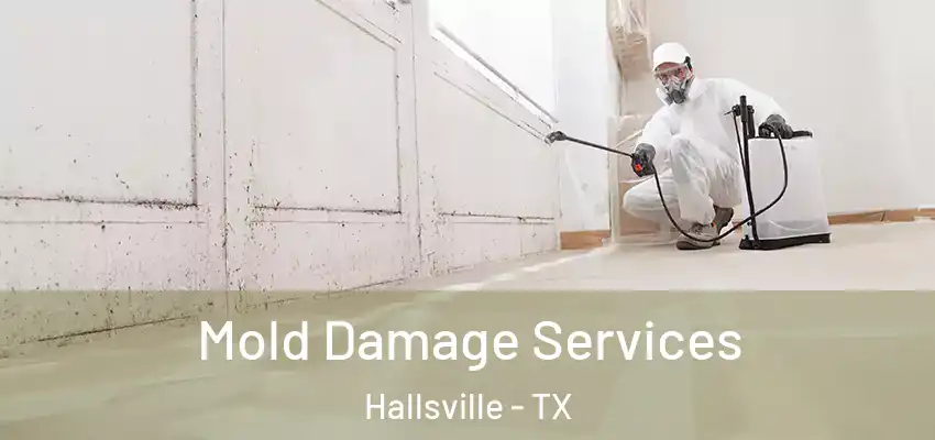 Mold Damage Services Hallsville - TX