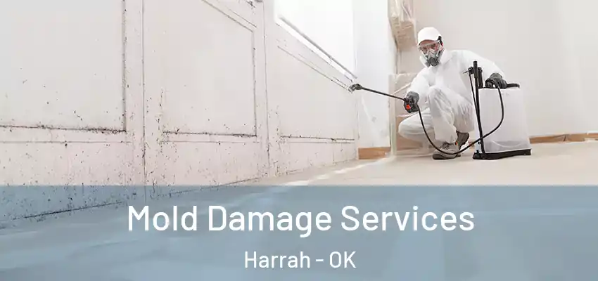  Mold Damage Services Harrah - OK