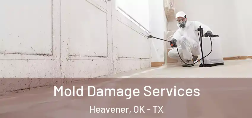 Mold Damage Services Heavener, OK - TX