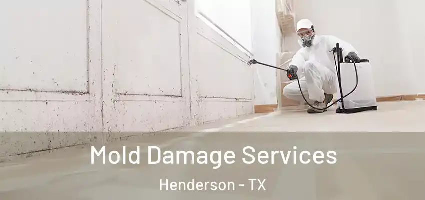  Mold Damage Services Henderson - TX