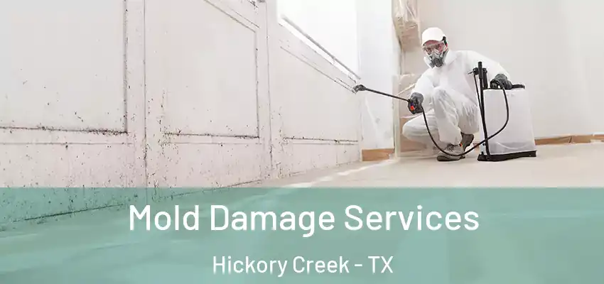  Mold Damage Services Hickory Creek - TX