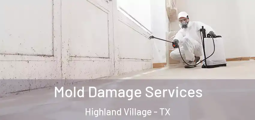 Mold Damage Services Highland Village - TX
