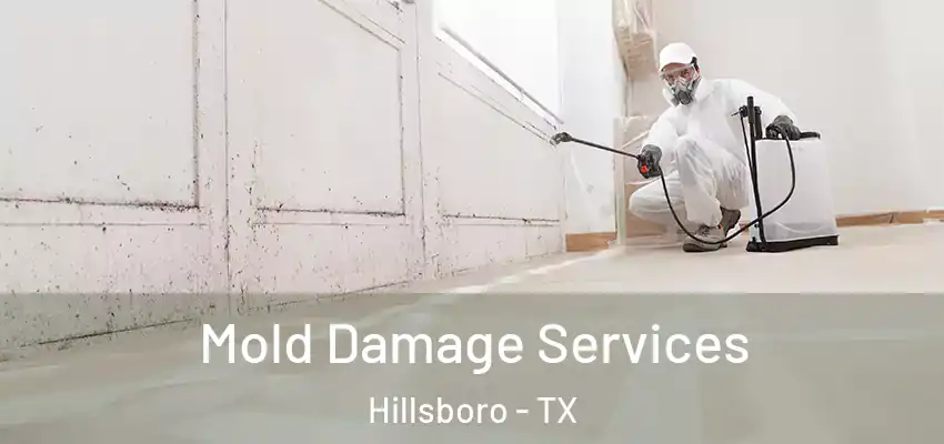Mold Damage Services Hillsboro - TX