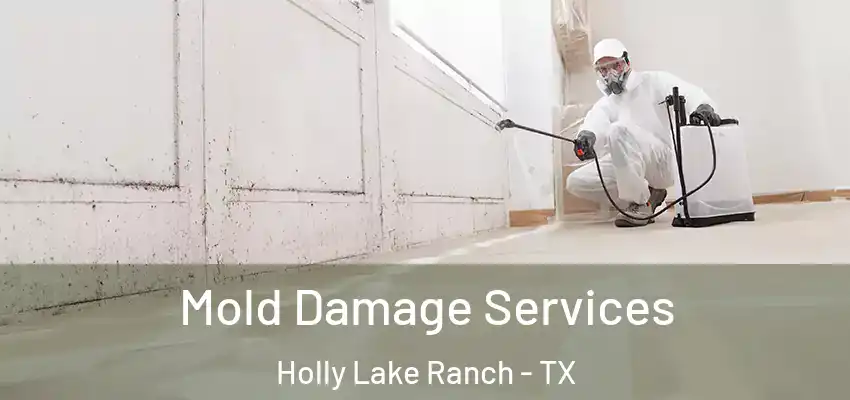  Mold Damage Services Holly Lake Ranch - TX