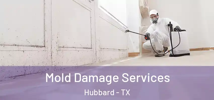  Mold Damage Services Hubbard - TX