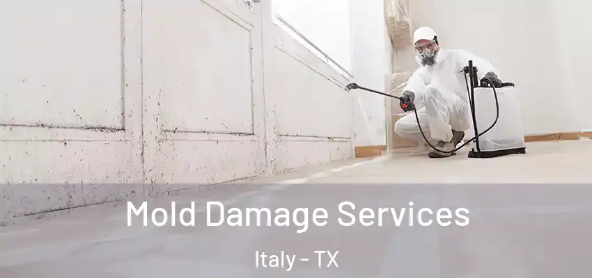  Mold Damage Services Italy - TX